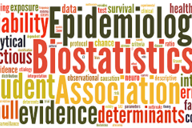 Epidemiology & Biostatistics | Department Of Public & Global Health