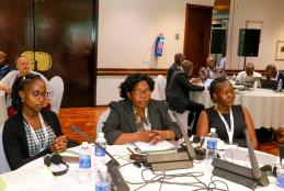 Dr Rose Opiyo attends the PERSuADE meeting in Harare